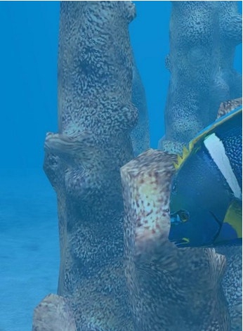 动物园大亨2柱状珊瑚MOD v3.55 动物园大亨2柱状珊瑚MOD v3.55