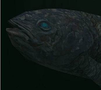 动物园大亨2西印度洋矛尾鱼MOD v3.30 动物园大亨2西印度洋矛尾鱼MOD v3.30