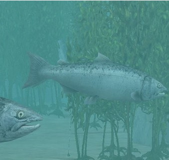 动物园大亨2大鳞大马哈鱼MOD v1.63 动物园大亨2大鳞大马哈鱼MOD v1.63