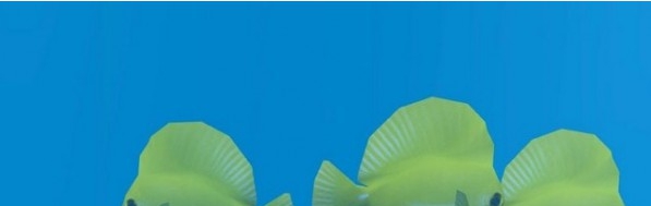 动物园大亨2黄高鳍刺尾鱼MOD v2.74 动物园大亨2黄高鳍刺尾鱼MOD v2.74