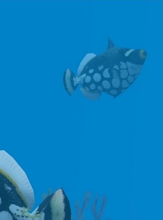 动物园大亨2花斑拟鳞鲀MOD v3.29 动物园大亨2花斑拟鳞鲀MOD v3.29