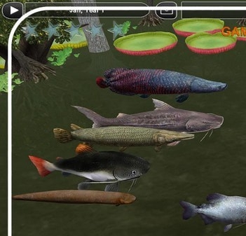 动物园大亨2Cortica鱼类包MOD v2.68 动物园大亨2Cortica鱼类包MOD v2.68