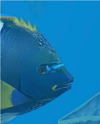 动物园大亨2雀点刺蝶鱼MOD v2.31 动物园大亨2雀点刺蝶鱼MOD v2.31