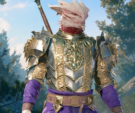 博德之门3闪光圣骑士护甲MOD v1.29