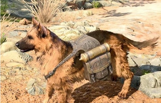 博德之门3给挠挠增加了三款皮肤MOD v1.45 博德之门3给挠挠增加了三款皮肤MOD v1.45