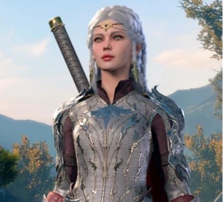 博德之门3精灵护甲MOD v3.89 博德之门3精灵护甲MOD v3.89