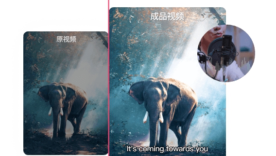 VAS视频加字幕 v9