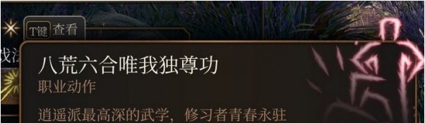 博德之门3武僧子职逍遥宗MOD v2.37 博德之门3武僧子职逍遥宗MOD v2.37