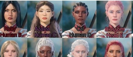 博德之门3多款面部预设MOD v2.84