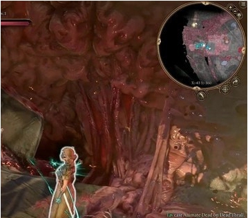 博德之门3真正的动画死亡MOD v3.28 博德之门3真正的动画死亡MOD v3.28