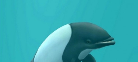 动物园大亨2花斑喙头海豚MOD v2.69 动物园大亨2花斑喙头海豚MOD v2.69