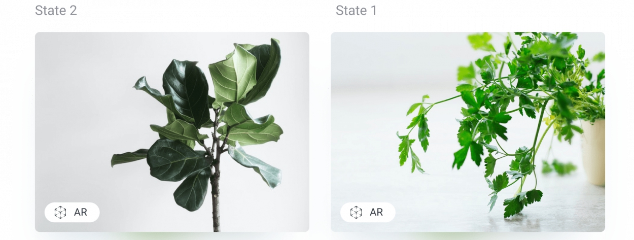 AxureRP v10.0.0.3831 AxureRP v10.0.0.3831