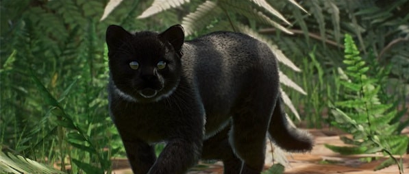 动物园之星黑色南美林虎猫MOD v1.4 动物园之星黑色南美林虎猫MOD v1.4