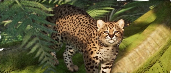 动物园之星南美林虎猫MOD v3.7 动物园之星南美林虎猫MOD v3.7