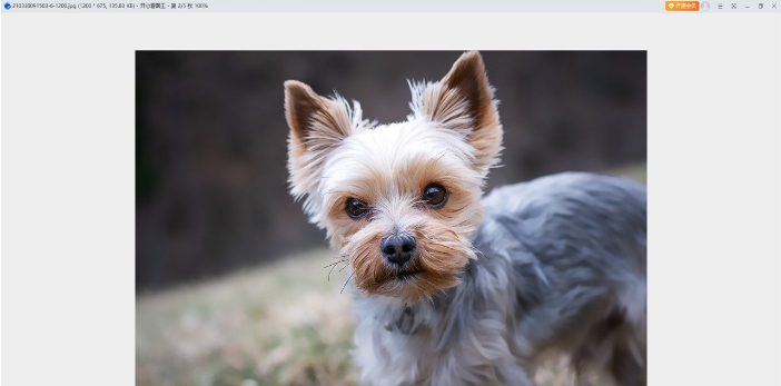 开心看图王 v1.0.9 开心看图王 v1.0.9