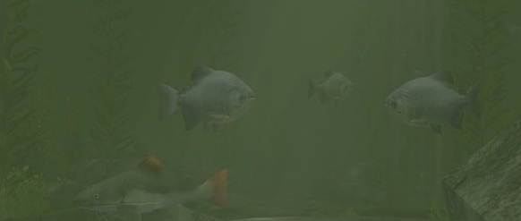 动物园大亨2点鳍红眼脂鲤MOD v3.86 动物园大亨2点鳍红眼脂鲤MOD v3.86