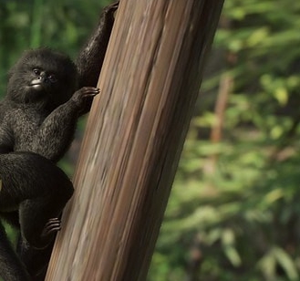 动物园之星跳猴MOD v1.33 动物园之星跳猴MOD v1.33