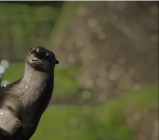 动物园之星撒丁岛巨海獭MOD v1.52 动物园之星撒丁岛巨海獭MOD v1.52