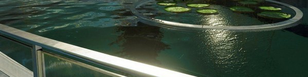 星空月球水MOD v2.47 星空月球水MOD v2.47