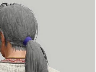 怪物猎人崛起MHW流浪武士发型MOD v1.28 怪物猎人崛起MHW流浪武士发型MOD v1.28