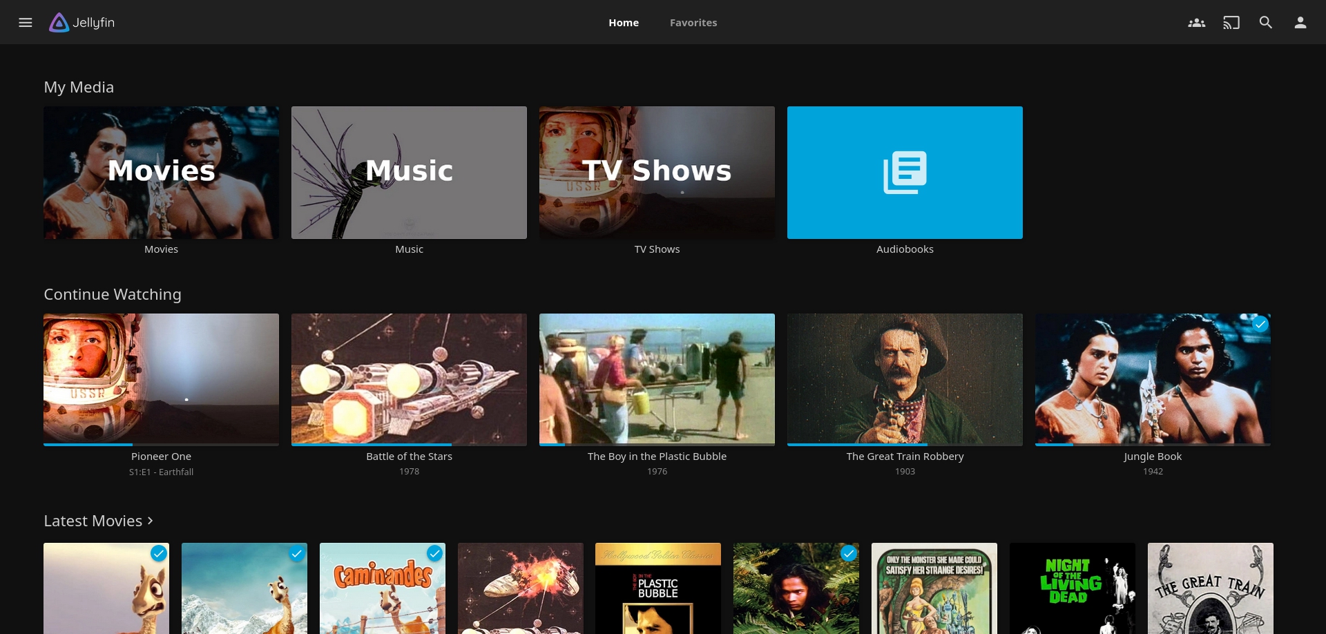 Jellyfin v10.2.13 Jellyfin v10.2.13