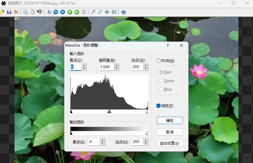 MassiGra v0.4.1.2