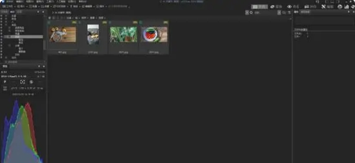 ACDSee 2024 旗舰版 v17.0.2.1 ACDSee 2024 旗舰版 v17.0.2.1