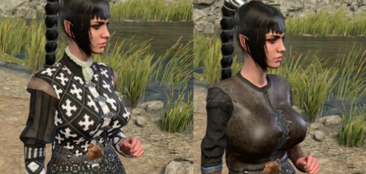 博德之门3美丽曲线和性感服装MOD v1.17