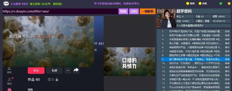 大头解析 v6.3