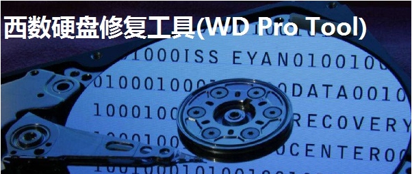西数硬盘修复工具 v5.2 西数硬盘修复工具 v5.2