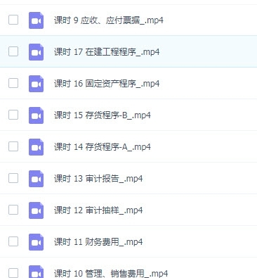 学通审计实务要点从入门到精通课 v1.35