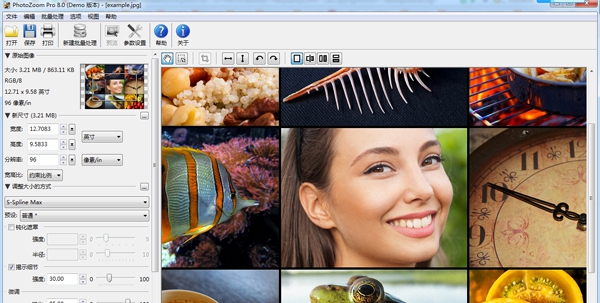 PhotoZoomPro v8.2.0.1 PhotoZoomPro v8.2.0.1