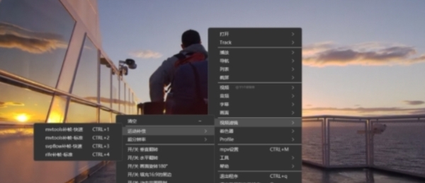 mpv net DW v1.2 mpv net DW v1.2