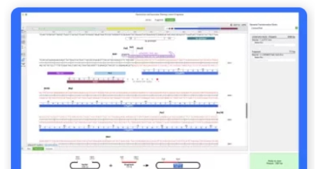 SnapGene v最新v1.1 SnapGene v最新v1.1