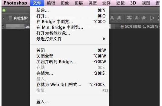 Photoshop CS4 v简体中文v1.1 Photoshop CS4 v简体中文v1.1