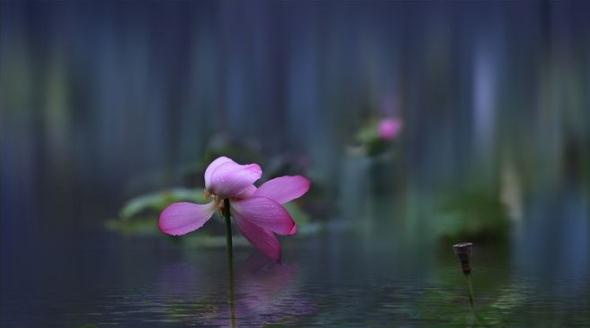 水之语滤镜 v2.63 水之语滤镜 v2.63