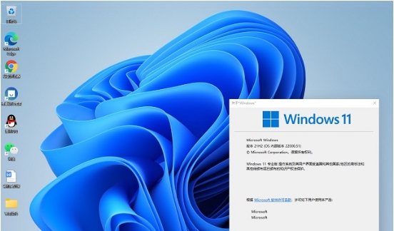 win11纯净版 v2025 win11纯净版 v2025