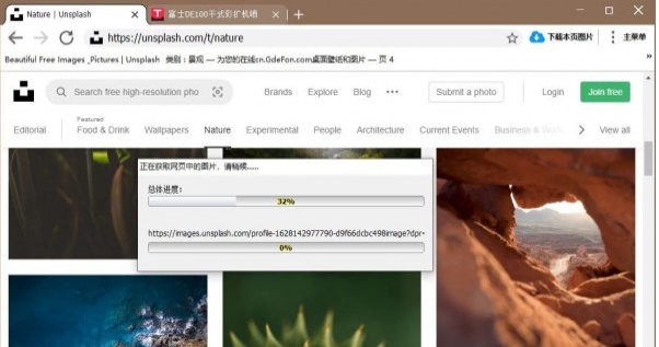 神奇网页图片下载机 v3.0.0.324