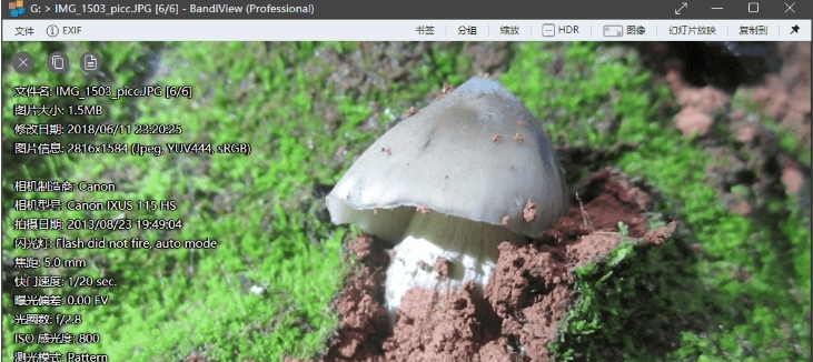 BandiView图片浏览 v7.05 BandiView图片浏览 v7.05