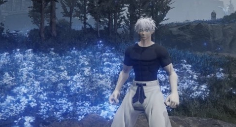 艾尔登法环五条悟最终战MOD支持 2.84 艾尔登法环五条悟最终战MOD支持 2.84