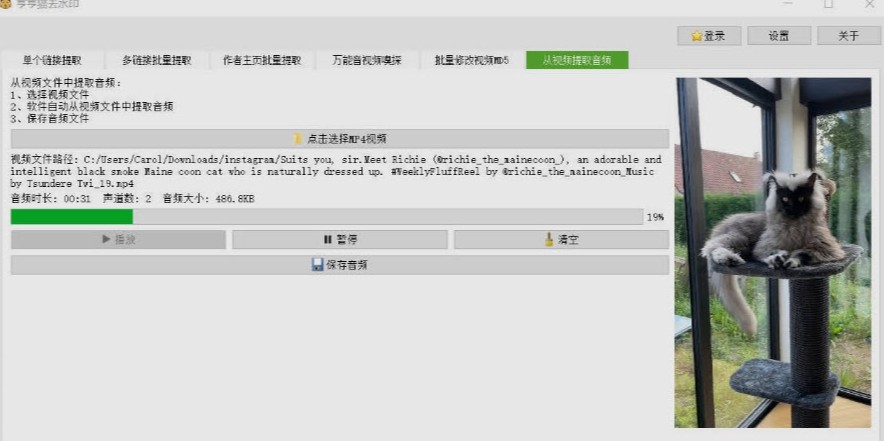 哼哼猫去水印软件 v3.5.4 哼哼猫去水印软件 v3.5.4