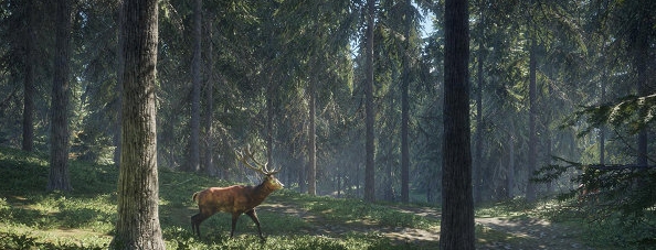 猎人荒野的呼唤dlc解锁补丁 v1.3 猎人荒野的呼唤dlc解锁补丁 v1.3