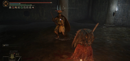 艾尔登法环雷拉娜的双刃MOD v2.02 艾尔登法环雷拉娜的双刃MOD v2.02