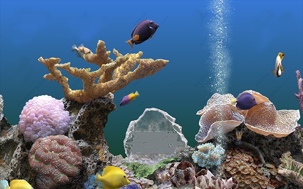 热带鱼水族箱屏保 v3.4 热带鱼水族箱屏保 v3.4