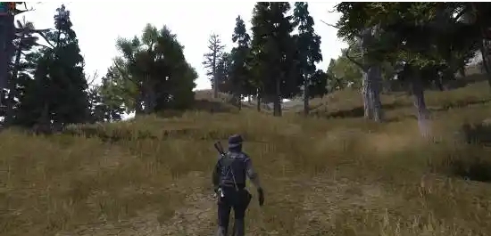 荒野大镖客救赎重制版十一项修改器 v1.78 荒野大镖客救赎重制版十一项修改器 v1.78